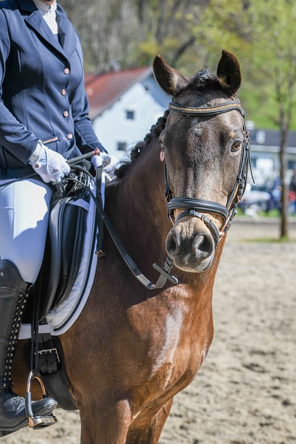 他曾在曼联 他曾在曼联