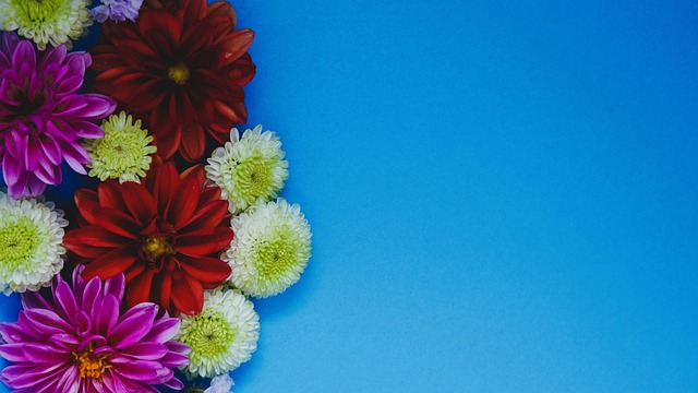 心编排的舞 心编排的舞