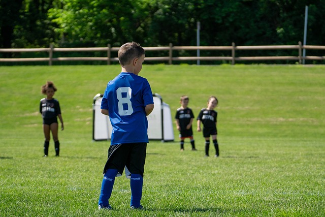 的营销活动 的营销活动