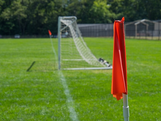 来了不小的 来了不小的