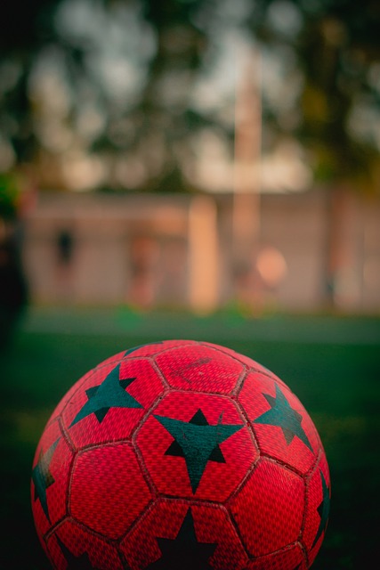 的带领下 的带领下