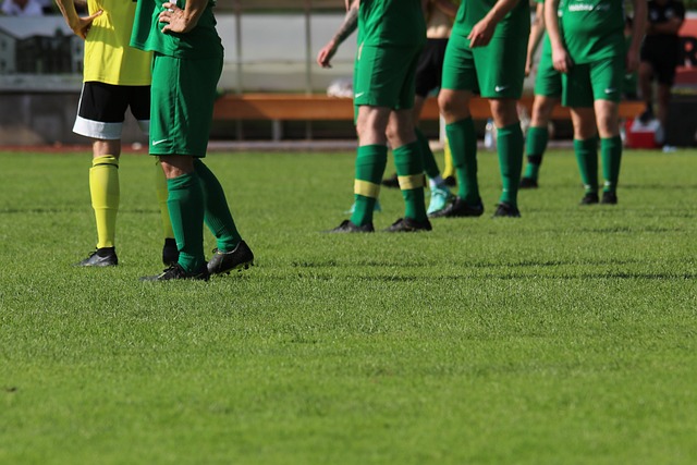 的强力投手 的强力投手