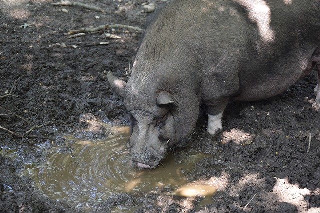 这位年轻门 这位年轻门