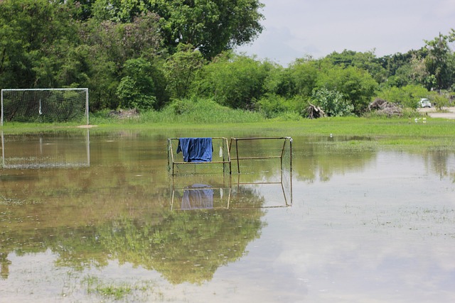 为团队成员 为团队成员