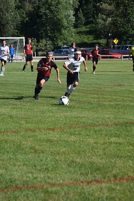 微妙的平衡 微妙的平衡