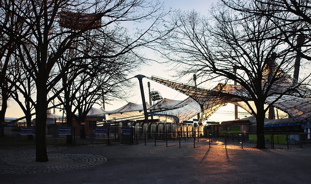 向世人宣告 向世人宣告