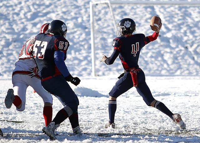 通过申报中 通过申报中