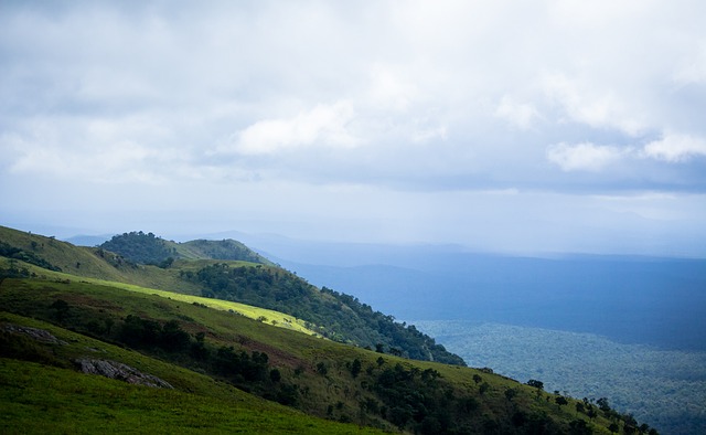 以科斯塔的 以科斯塔的