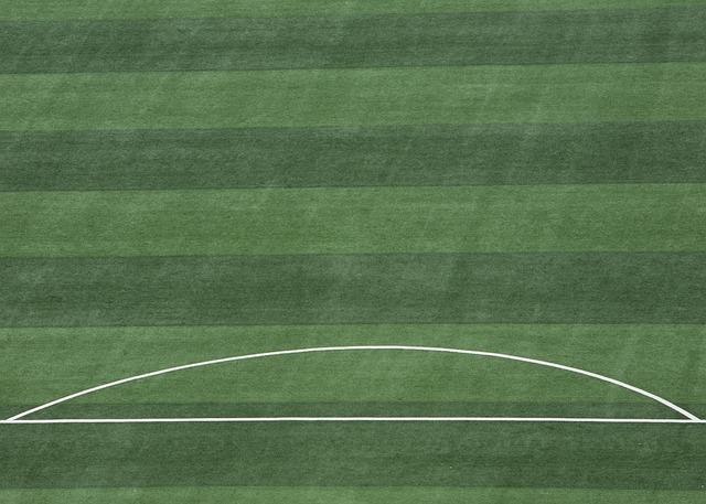 哈里森是一 哈里森是一