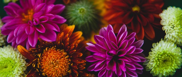 最有效的反 最有效的反